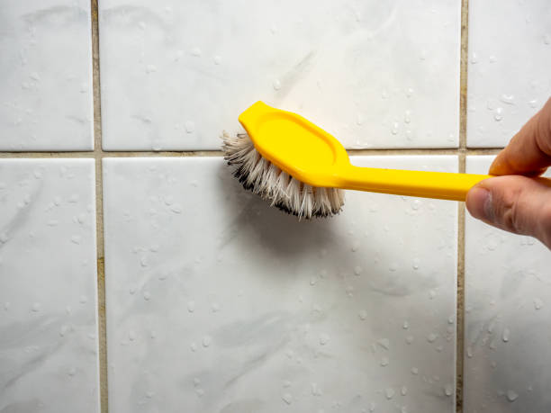 Best Office Mold Removal Services  in Palm Springs, FL