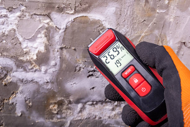 Best Emergency Mold Removal  in Palm Springs, FL
