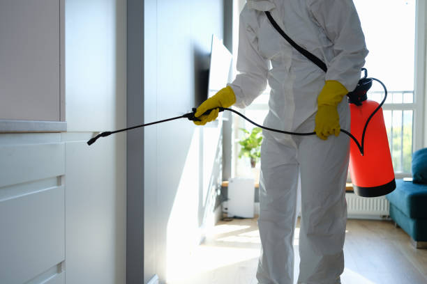 Best Office Mold Removal Services  in Palm Springs, FL