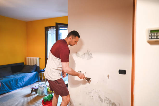 Certified Mold Removal in Palm Springs, FL
